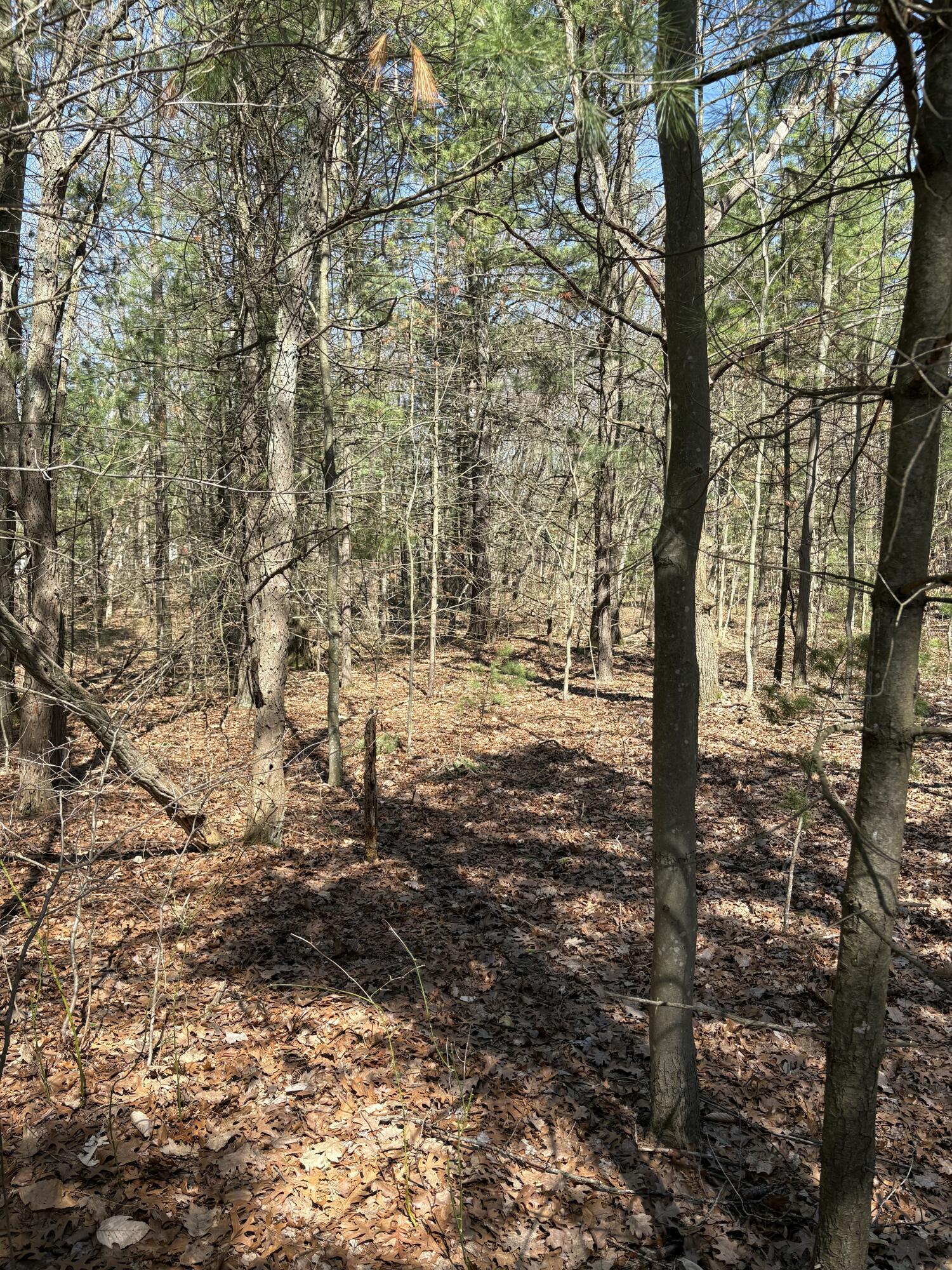V/l Fenner Road Muskegon MI 49445