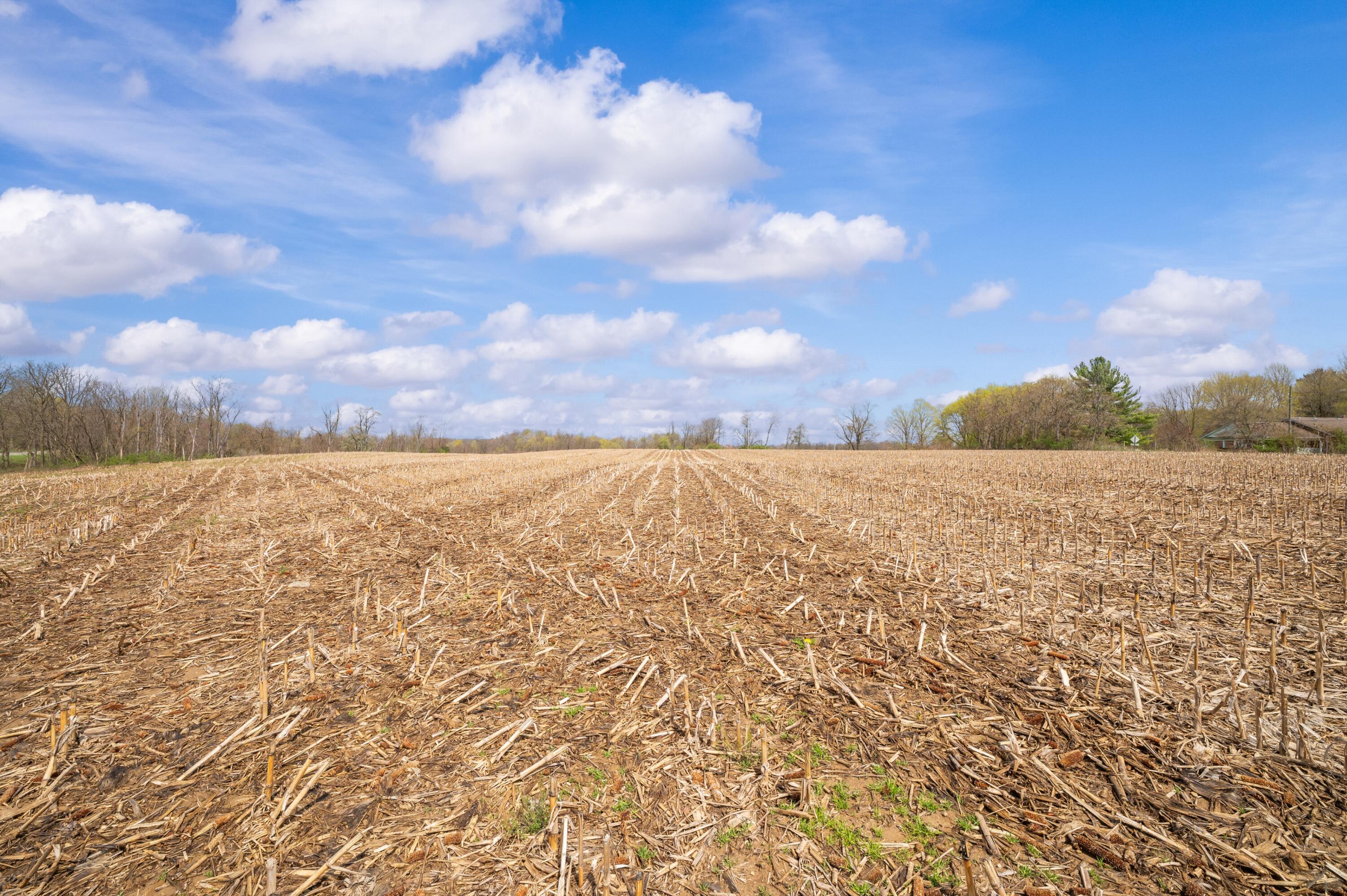 Lot B Broceus School Road Buchanan MI 49107