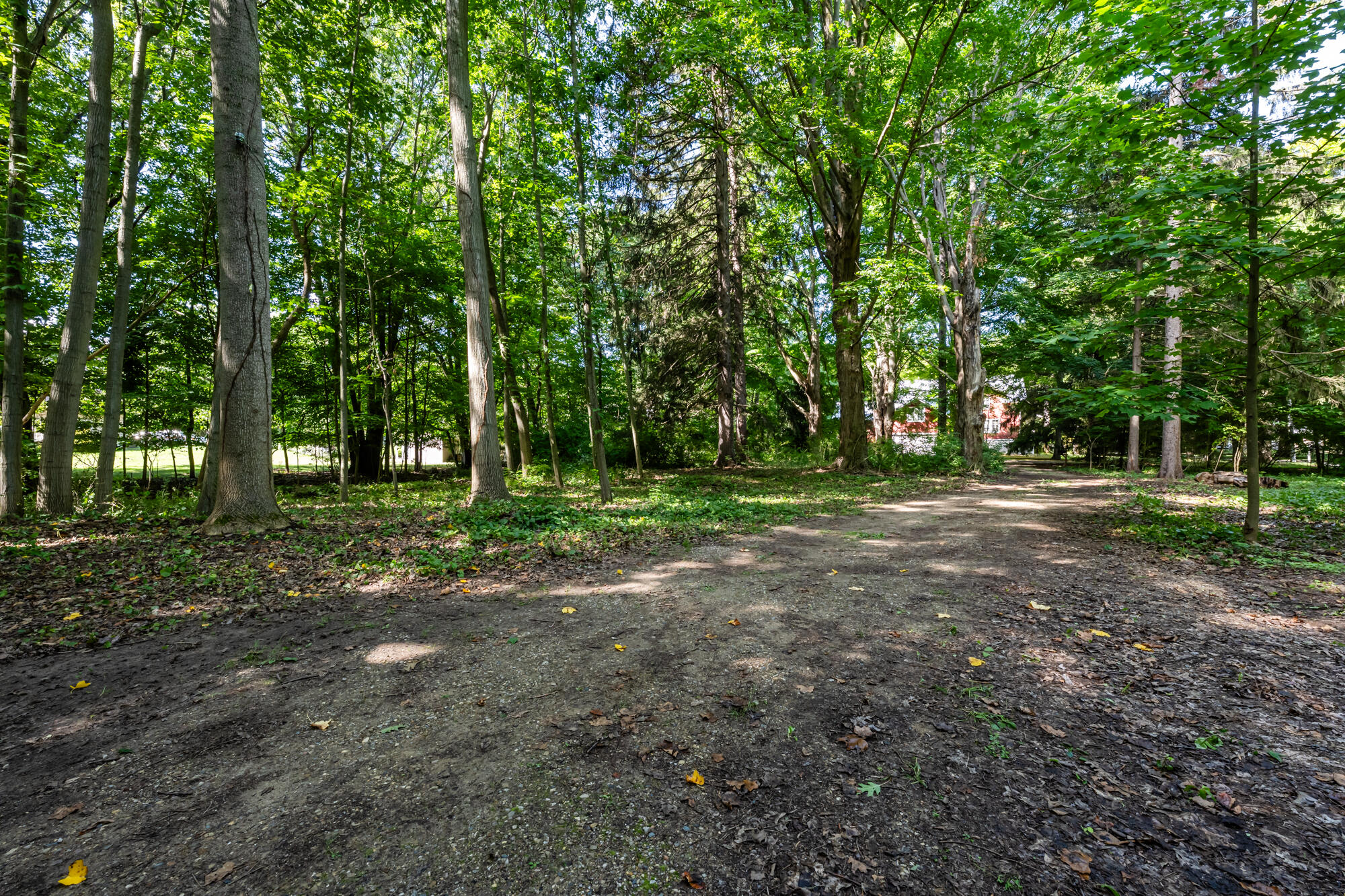 246 Webster Avenue South Haven MI 49090