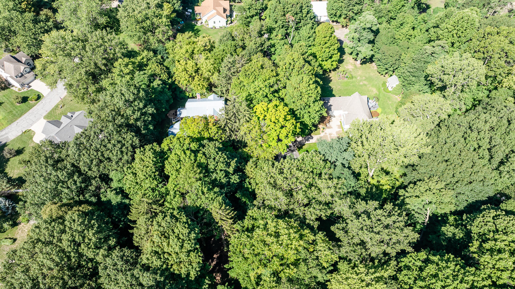 246 Webster Avenue South Haven MI 49090