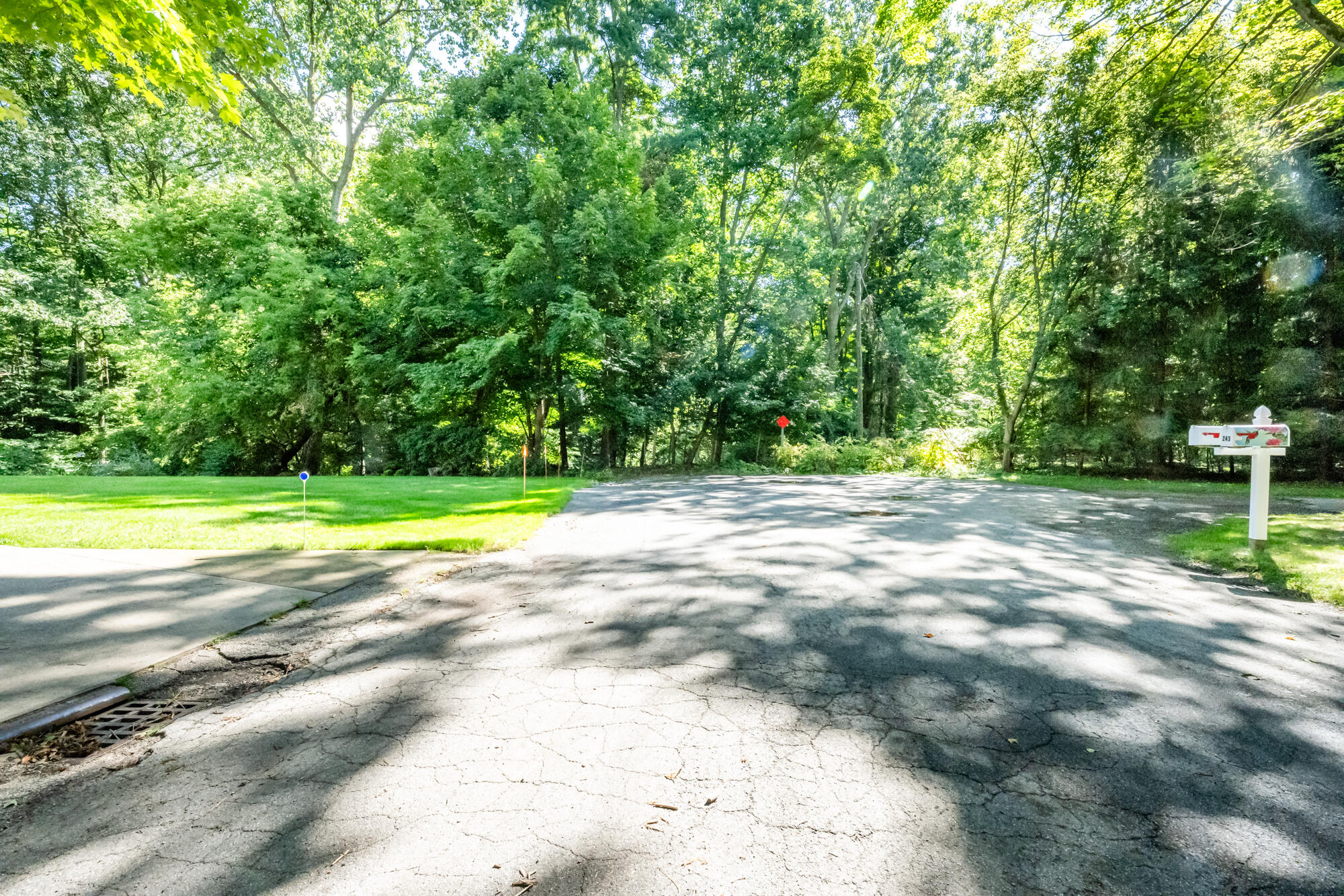 246 Webster Avenue South Haven MI 49090
