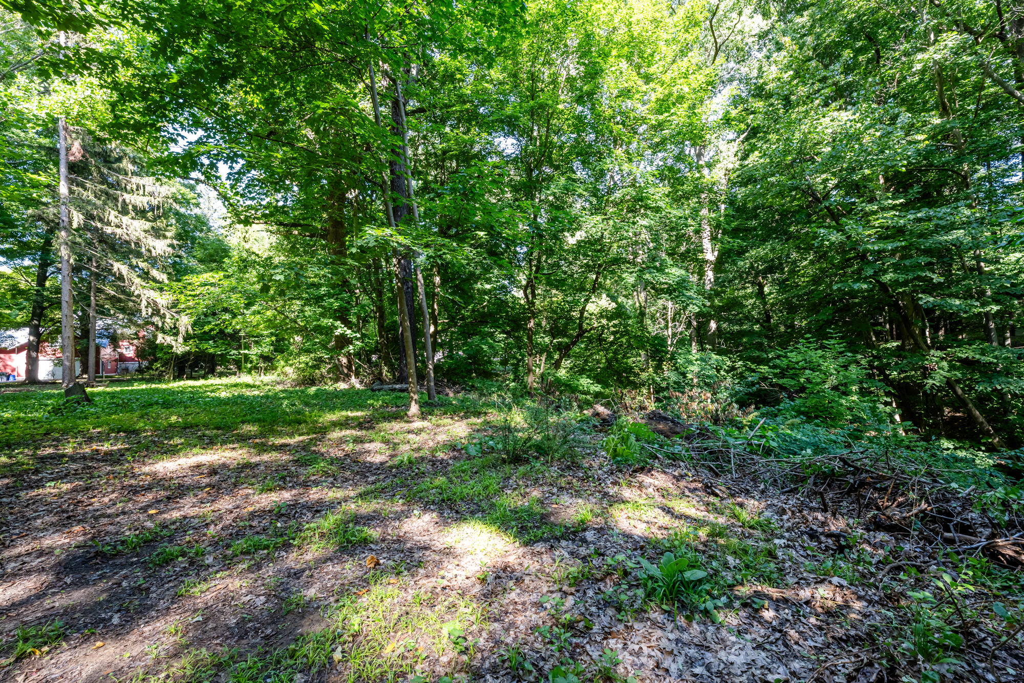246 Webster Avenue South Haven MI 49090