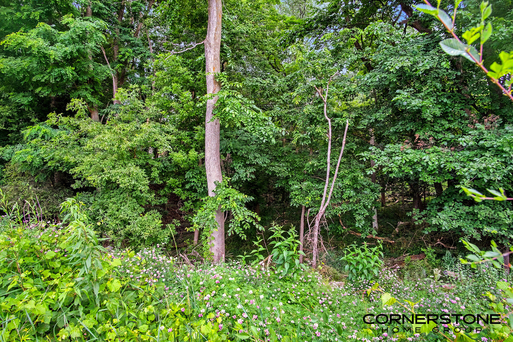 2345 Lake Michigan Drive NW Grand Rapids MI 49504
