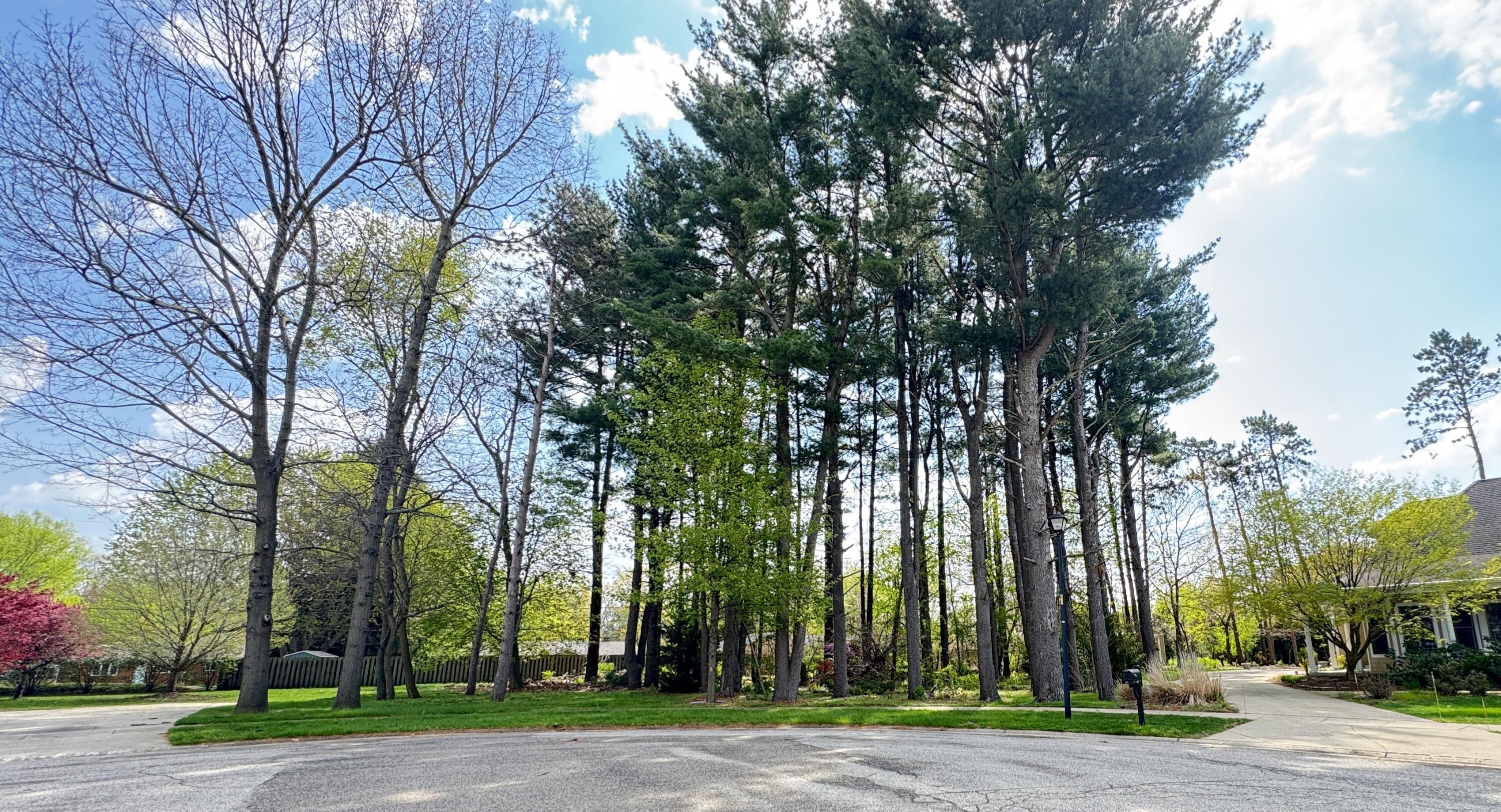 1912 Hidden Pines Trail Stevensville MI 49127