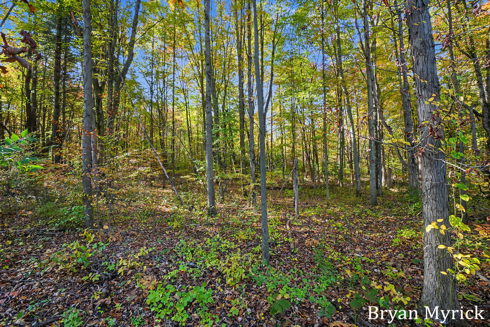 2352 Taft Road Allegan MI 49010