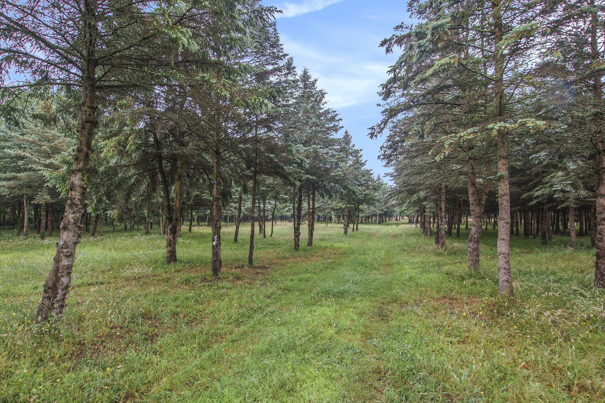 0 Desay Drive West Olive MI 49460