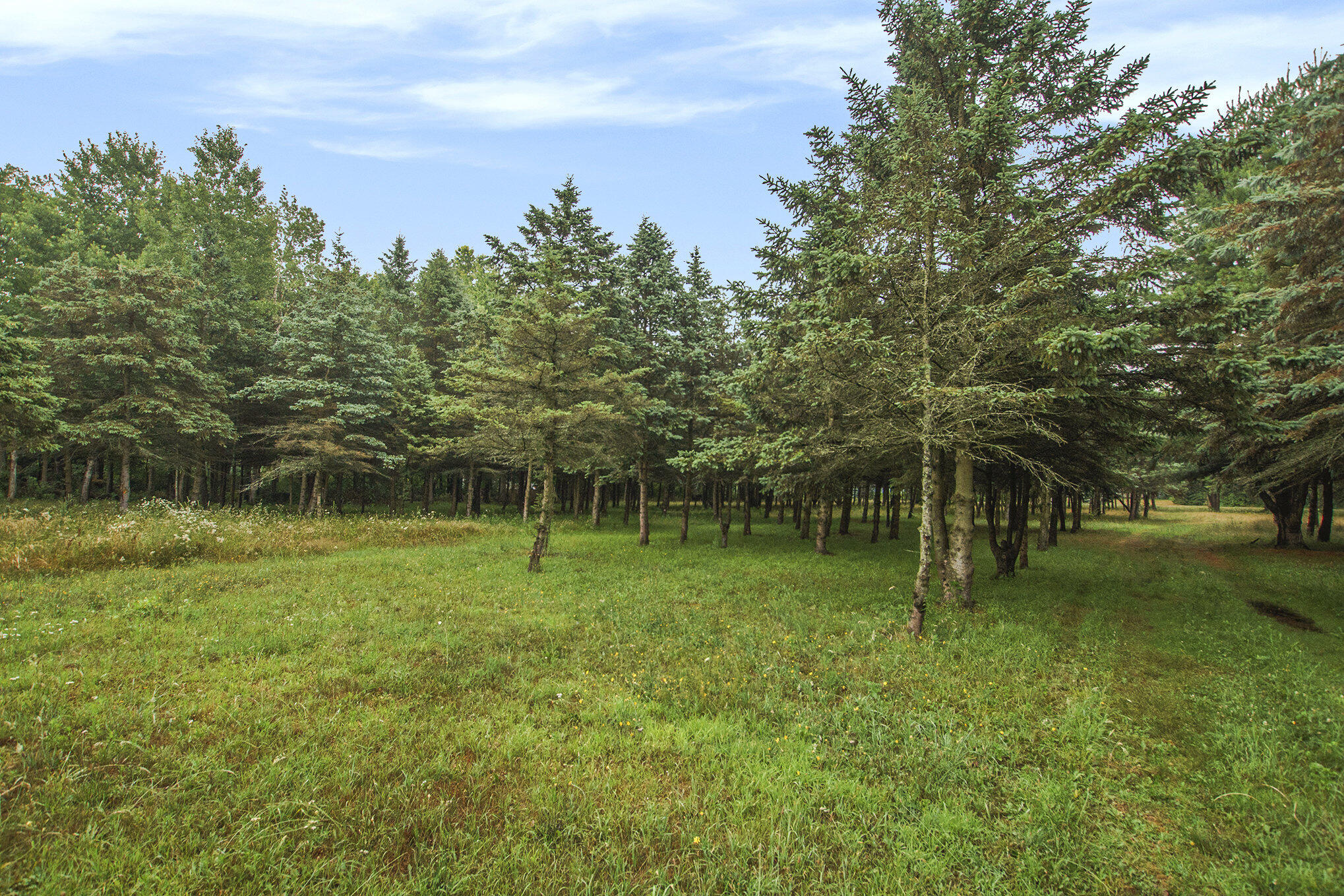 0 Desay Drive West Olive MI 49460