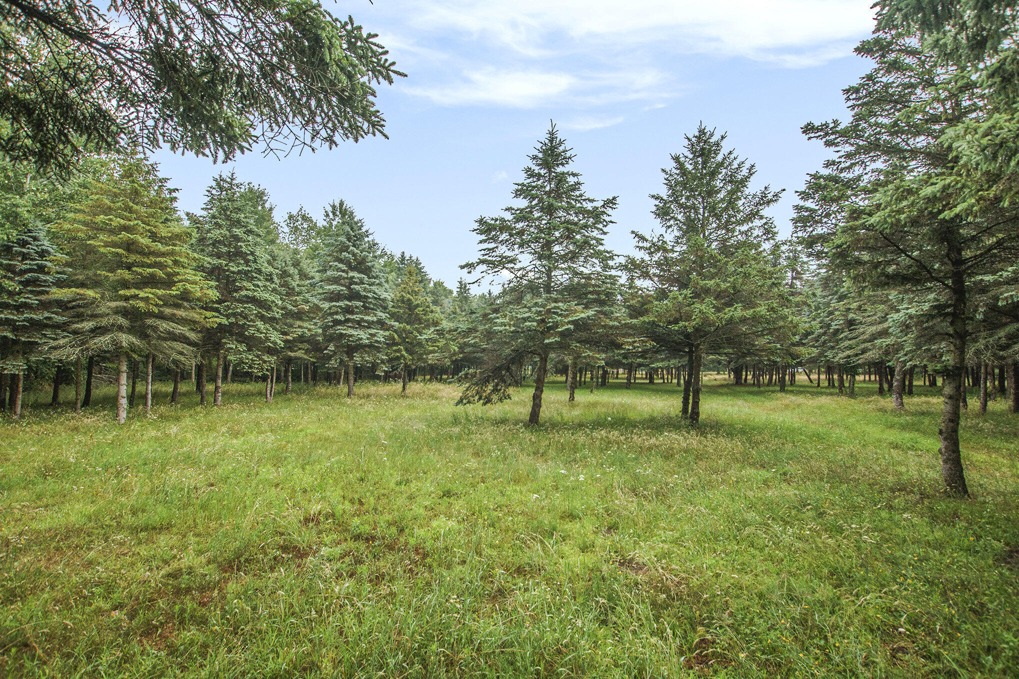 0 Desay Drive West Olive MI 49460