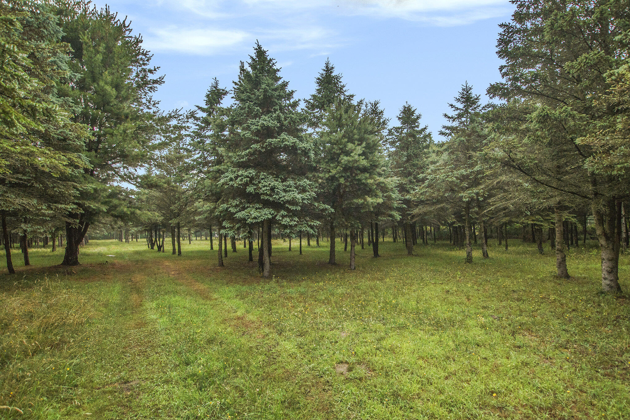 0 Desay Drive West Olive MI 49460
