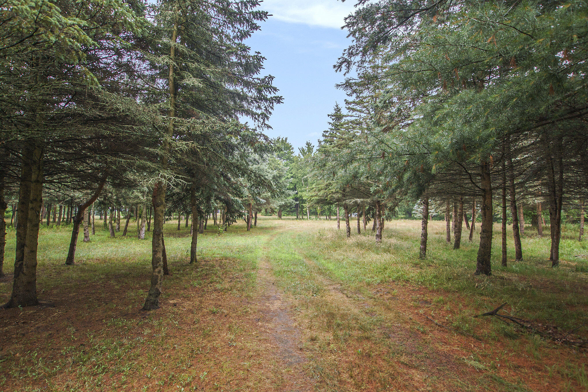 0 Desay Drive West Olive MI 49460