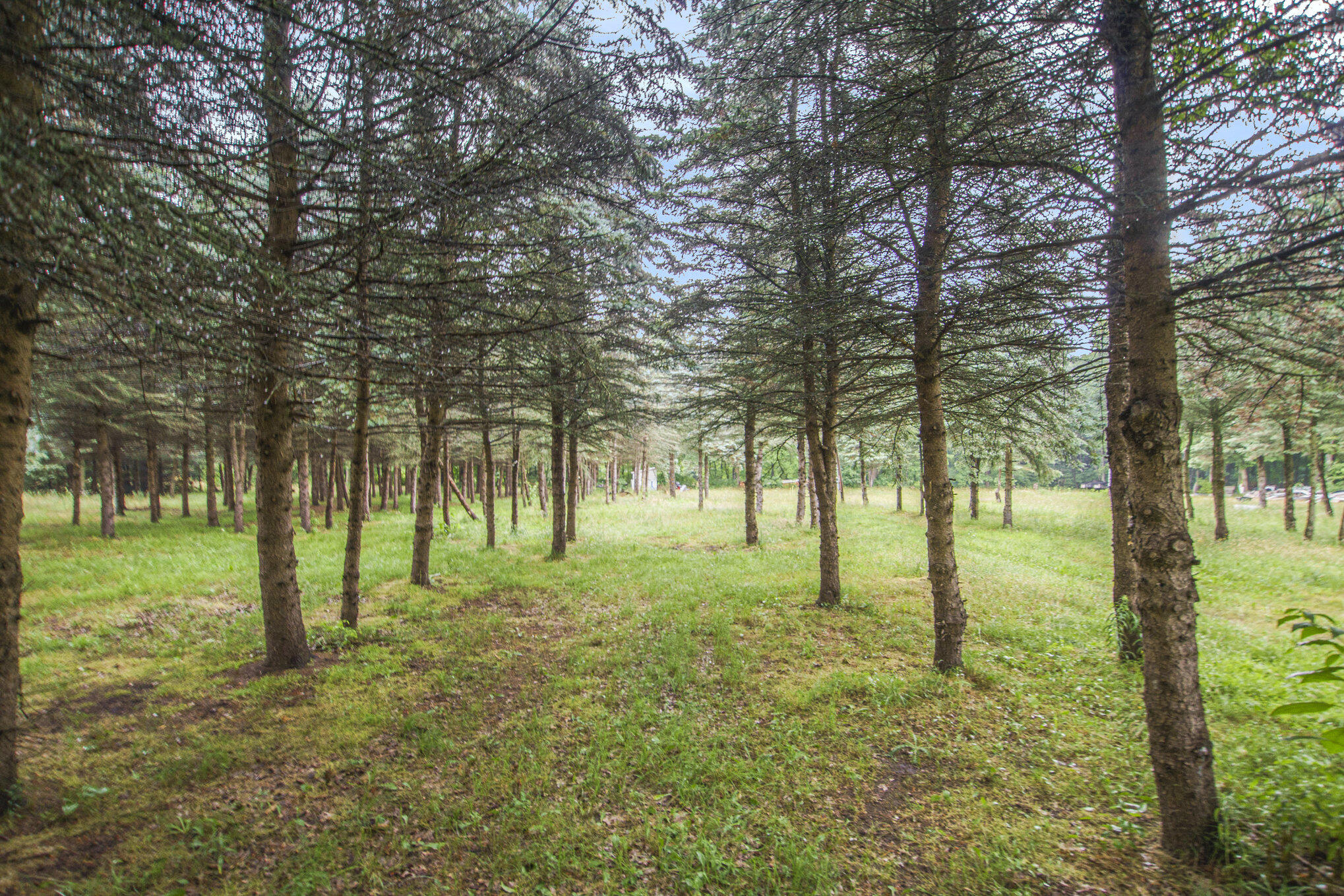 0 Desay Drive West Olive MI 49460