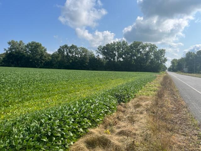 New Buffalo MI, Wilson Road, Unit B