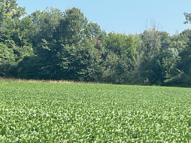 Wilson Road New Buffalo MI 49117