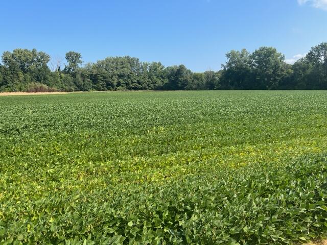 Wilson Road New Buffalo MI 49117