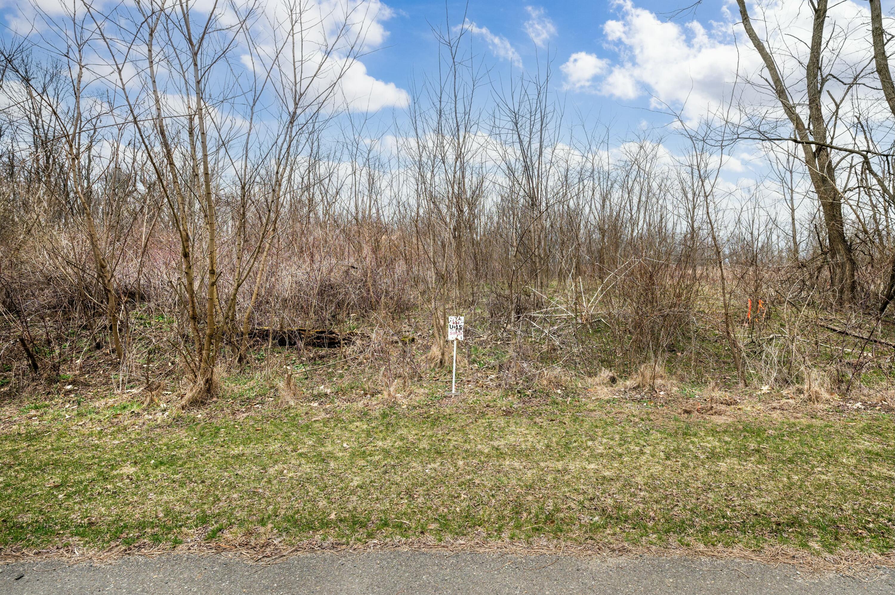 Unit 15 Long Lake Drive Cassopolis MI 49031