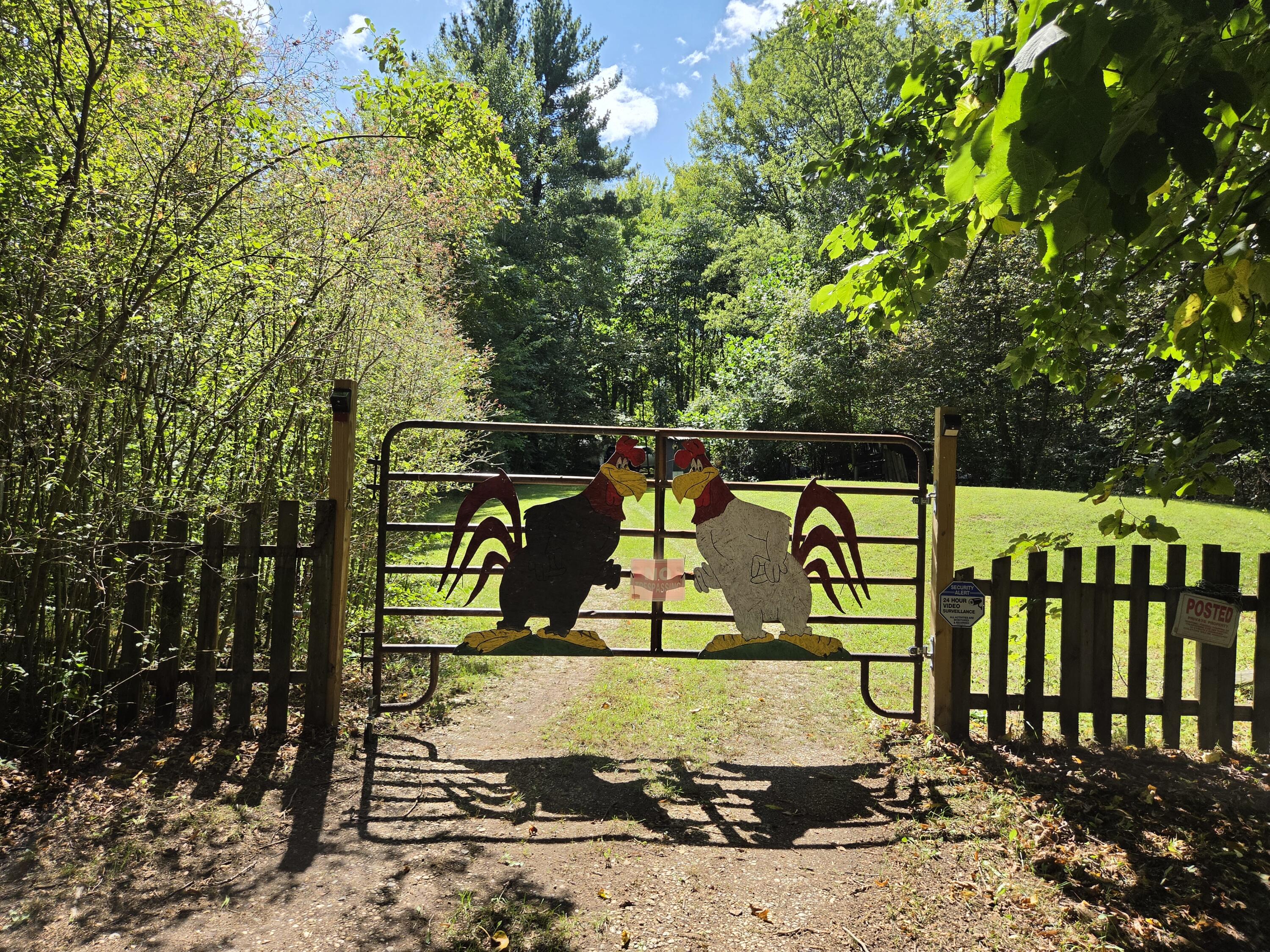 4272 Swan Lake Drive Allegan MI 49010