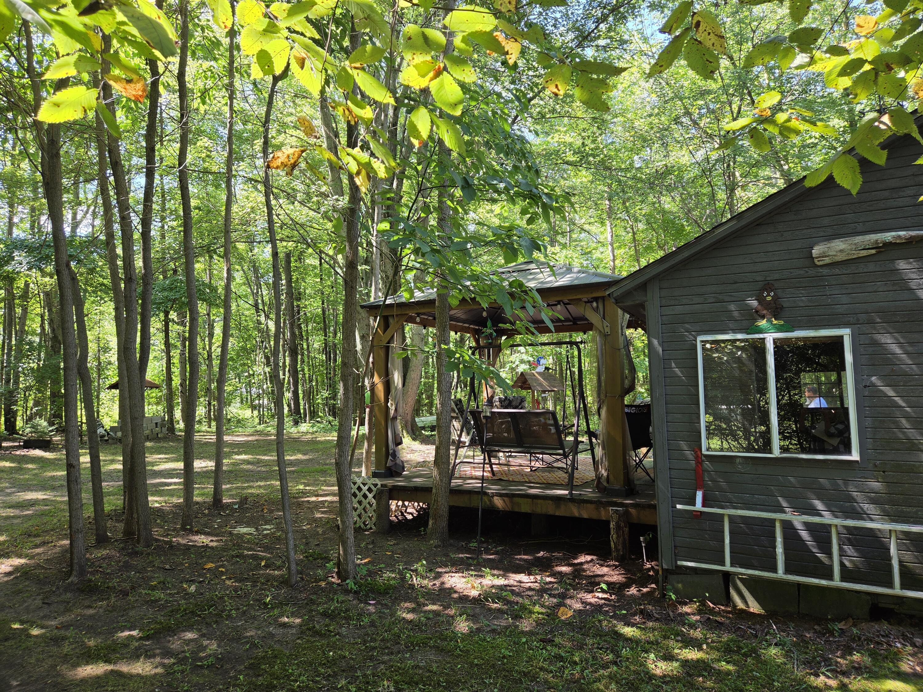 4272 Swan Lake Drive Allegan MI 49010