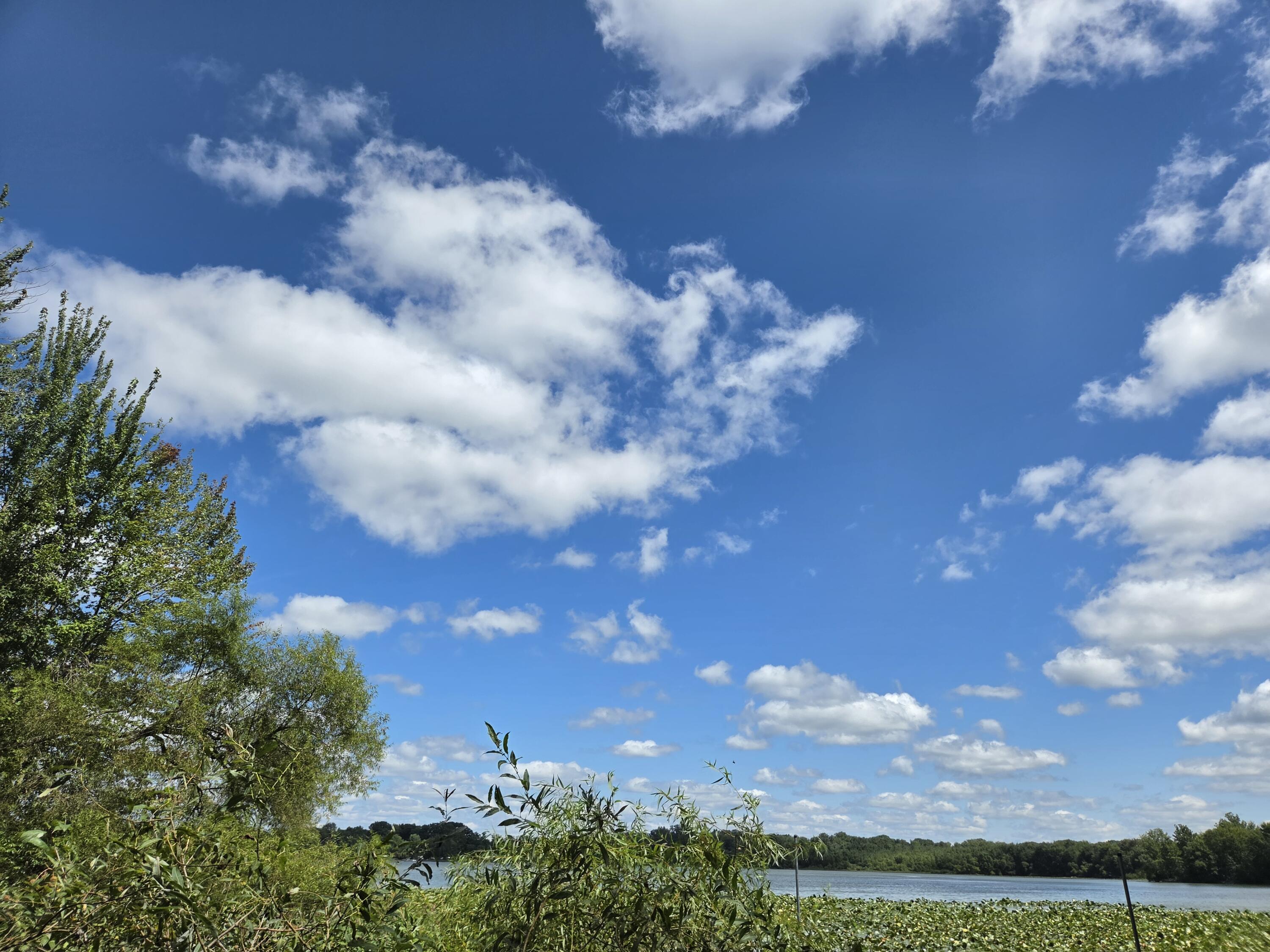 4272 Swan Lake Drive Allegan MI 49010