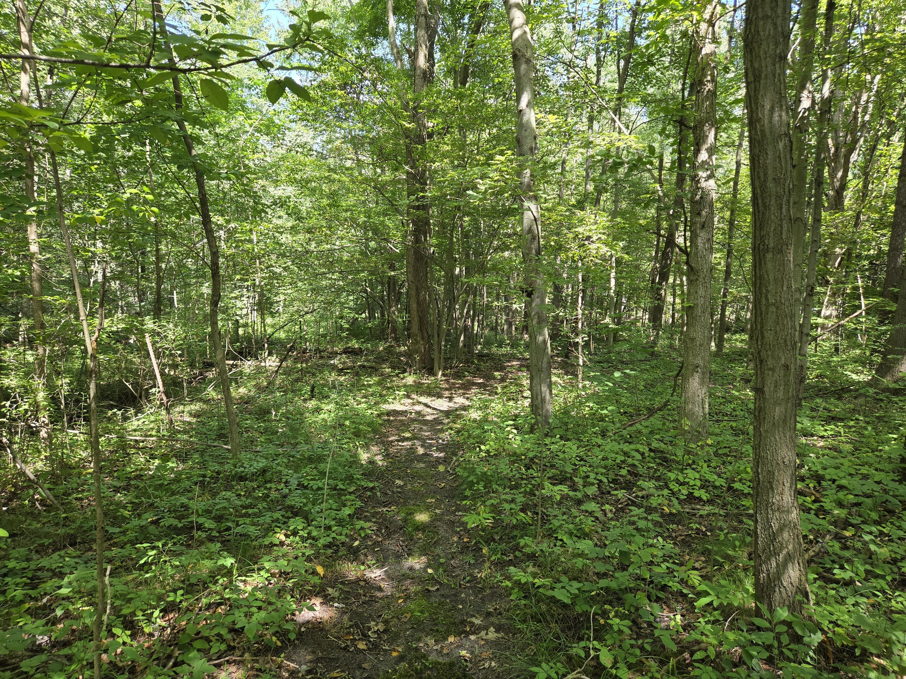4272 Swan Lake Drive Allegan MI 49010