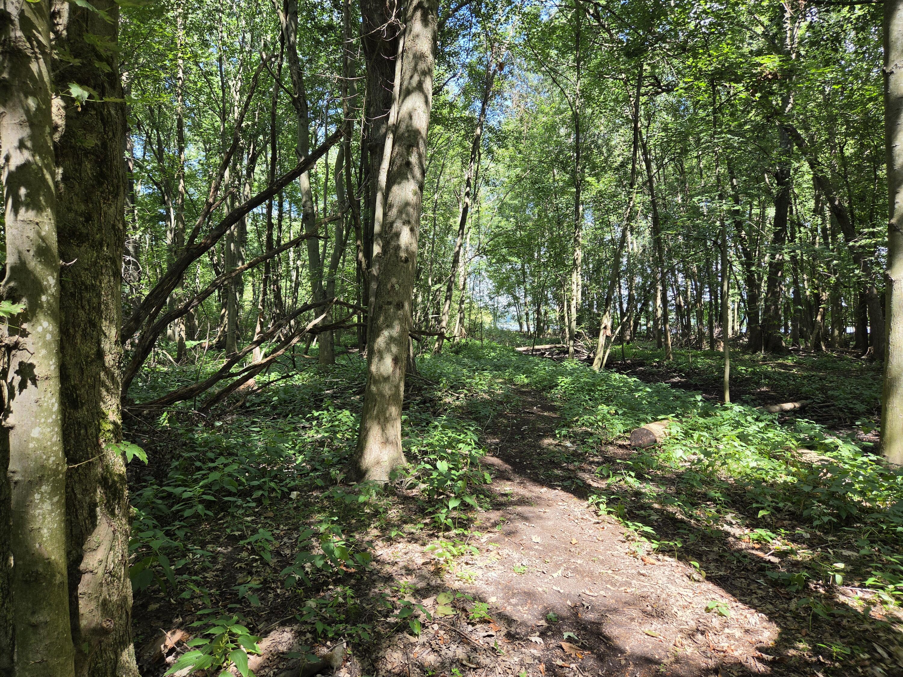 4272 Swan Lake Drive Allegan MI 49010
