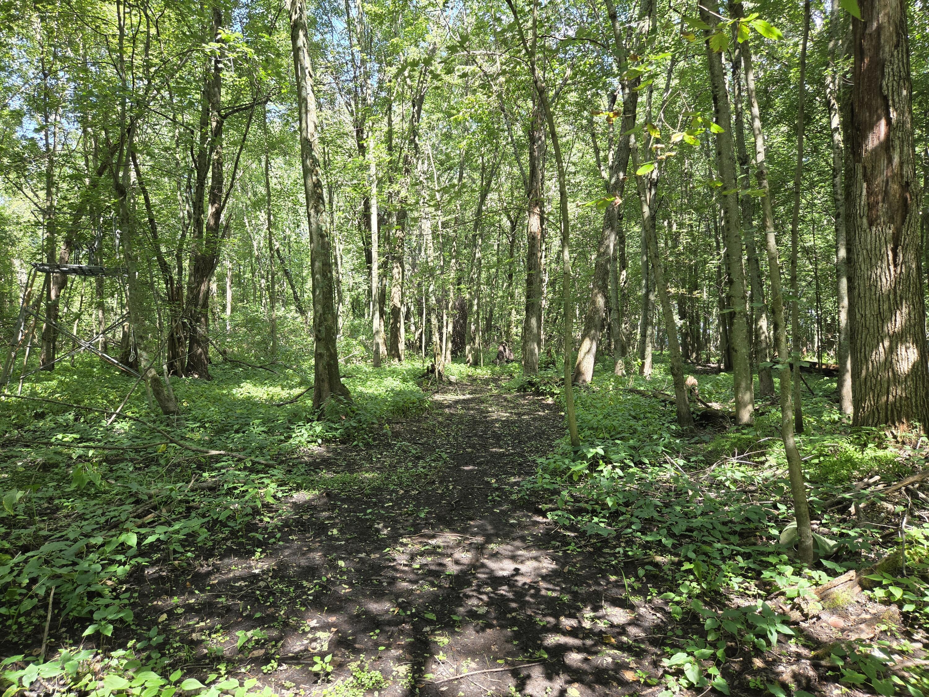 4272 Swan Lake Drive Allegan MI 49010