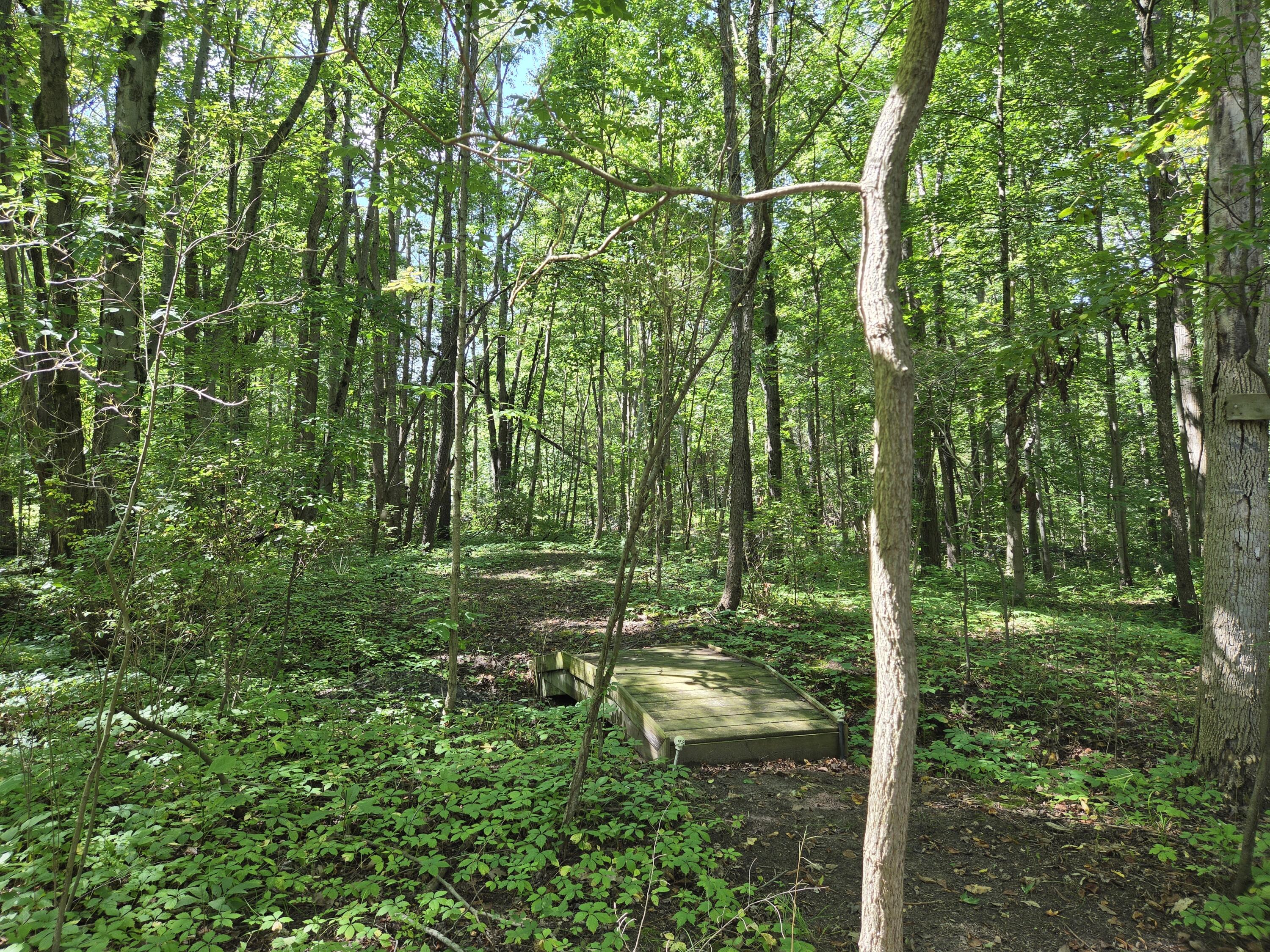 4272 Swan Lake Drive Allegan MI 49010