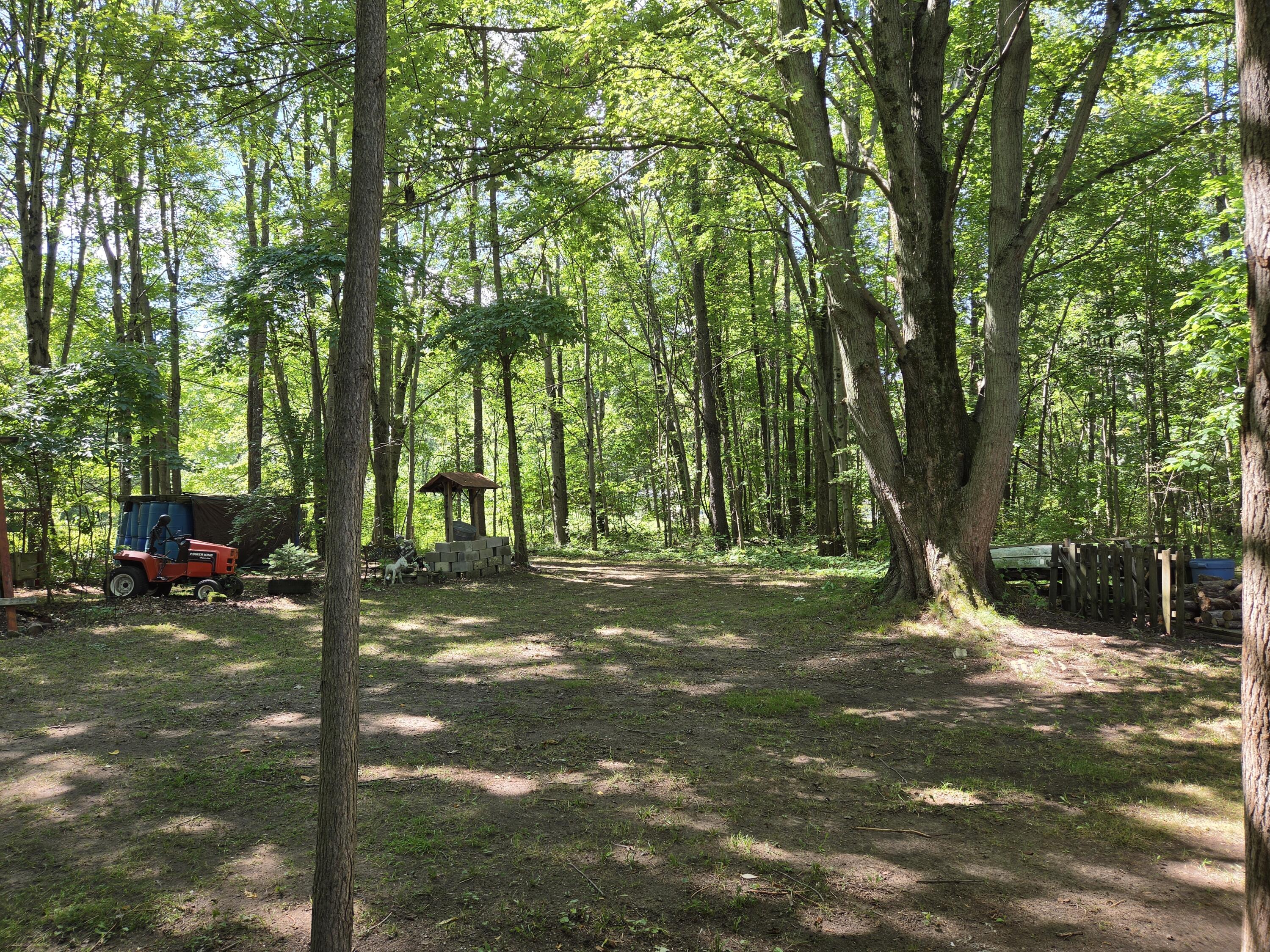 4272 Swan Lake Drive Allegan MI 49010