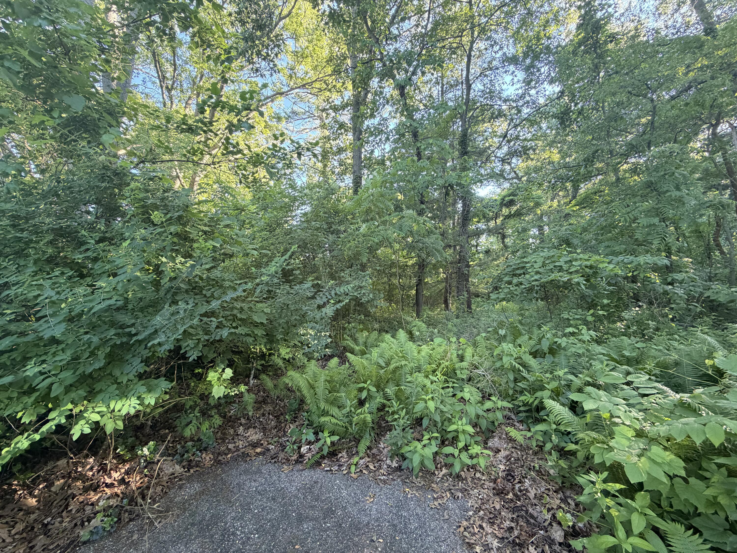 6034 River Ridge Court Hamilton MI 49419