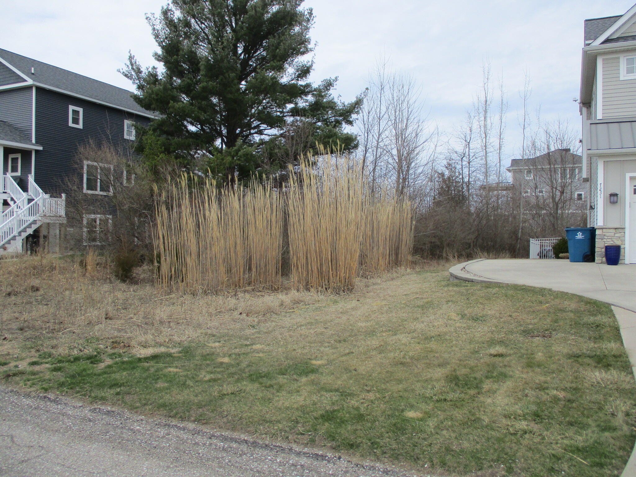 7237 Lakeview Avenue South Haven MI 49090