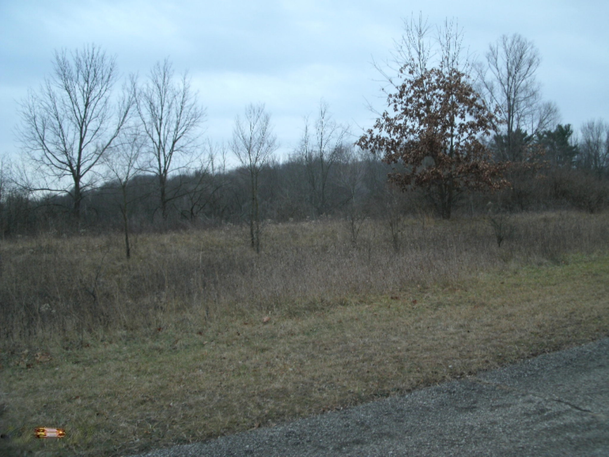 0 Drew Drive Niles MI 49120