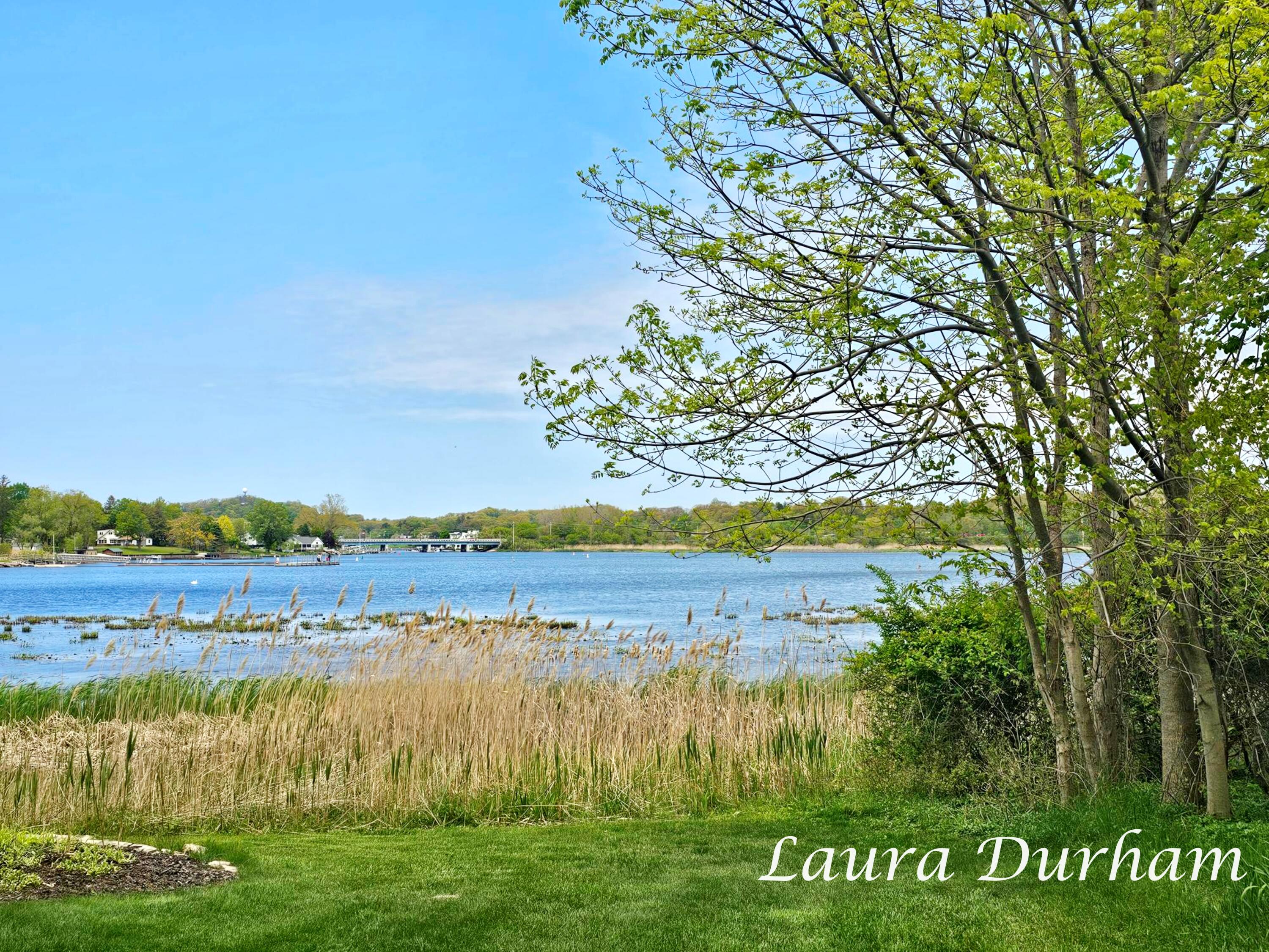 289 Crest Douglas MI 49406