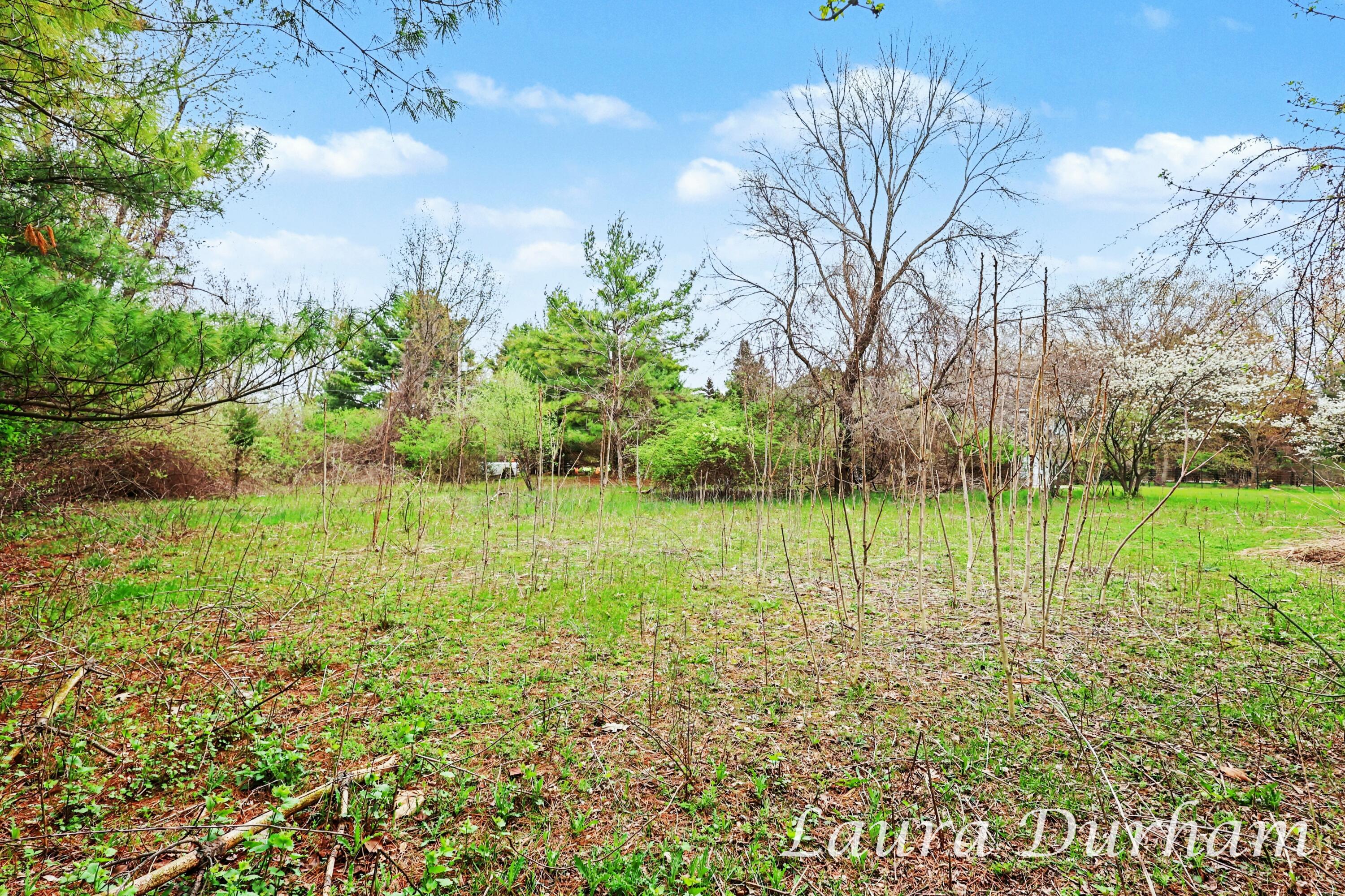 289 Crest Douglas MI 49406