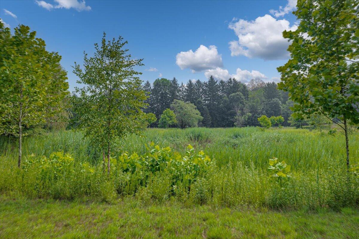 19839 Witt Road Three Oaks MI 49128