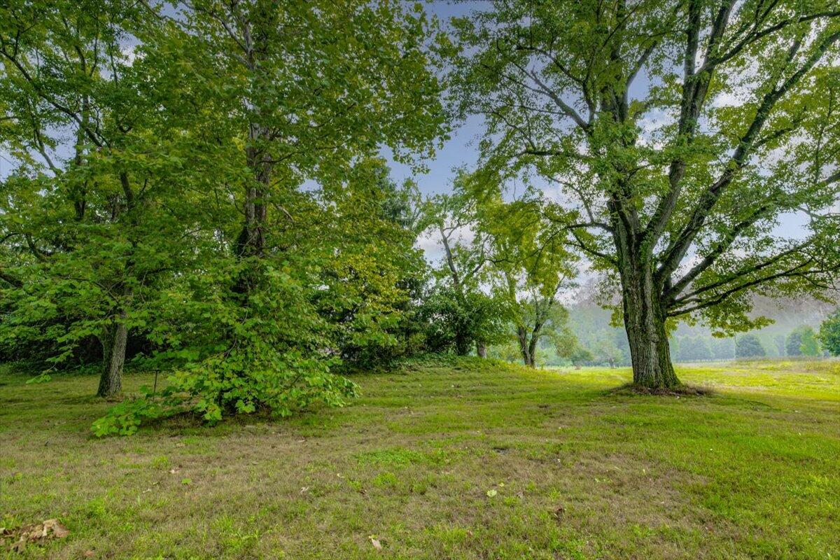 19839 Witt Road Three Oaks MI 49128