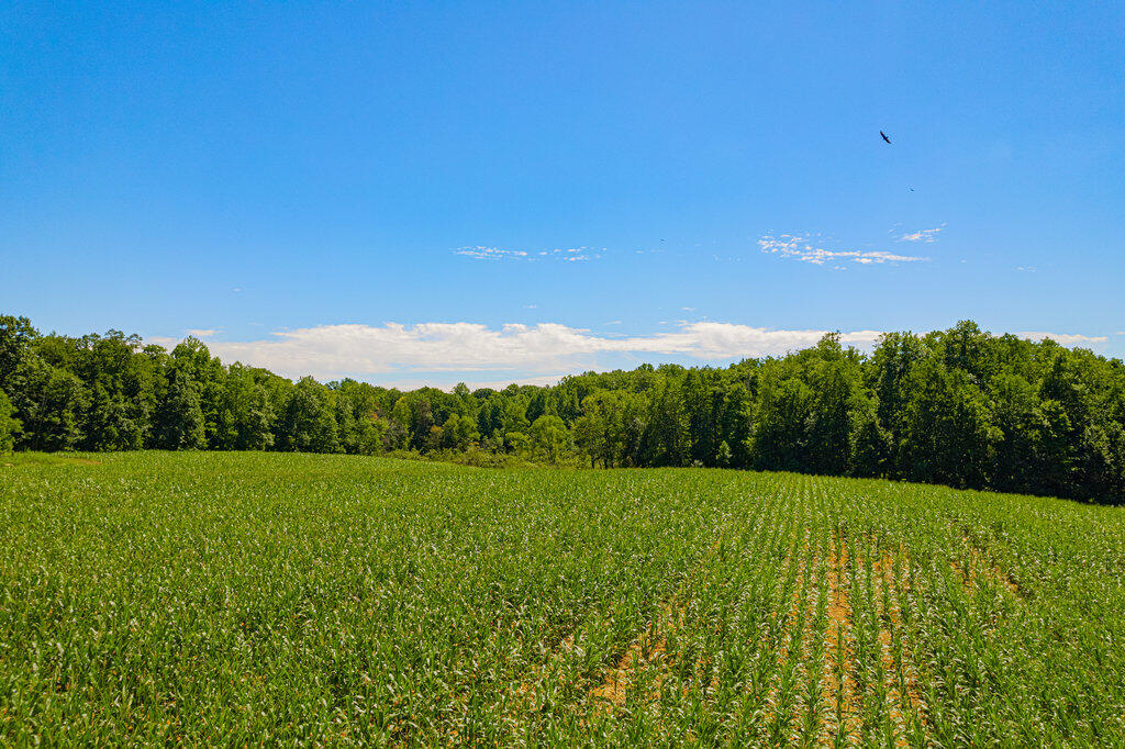1936 E Clear Lake Road Buchanan MI 49107