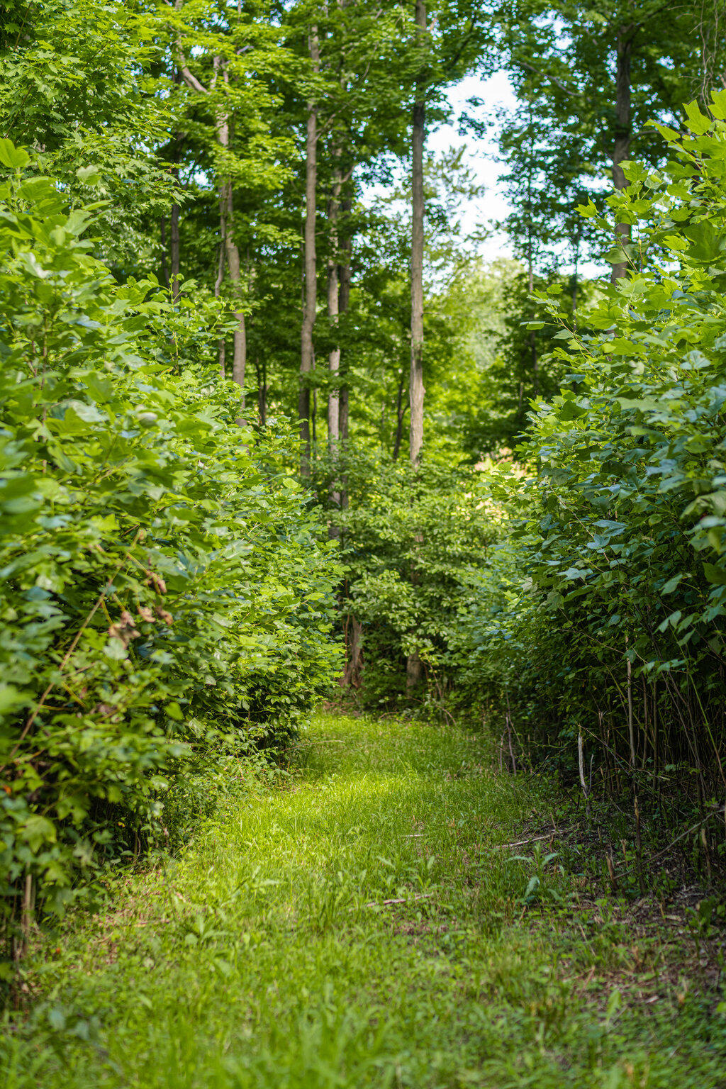 1936 E Clear Lake Road Buchanan MI 49107