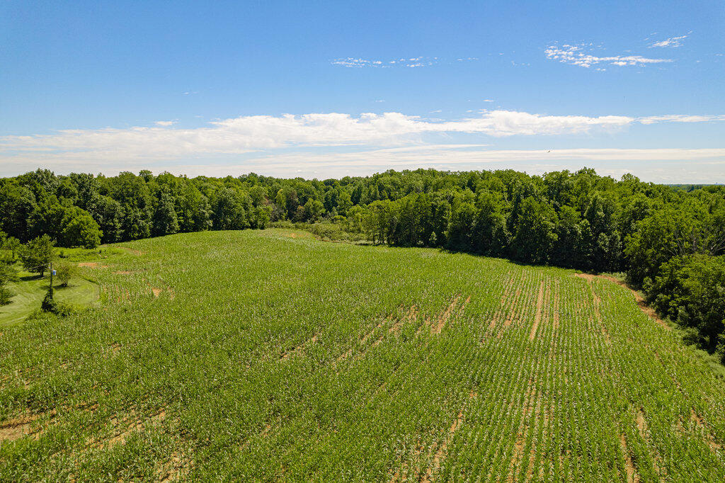 1936 E Clear Lake Road Buchanan MI 49107