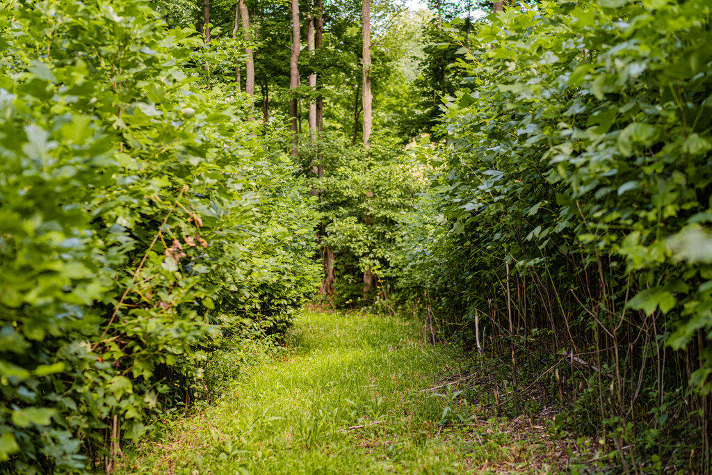 1936 E Clear Lake Road Buchanan MI 49107