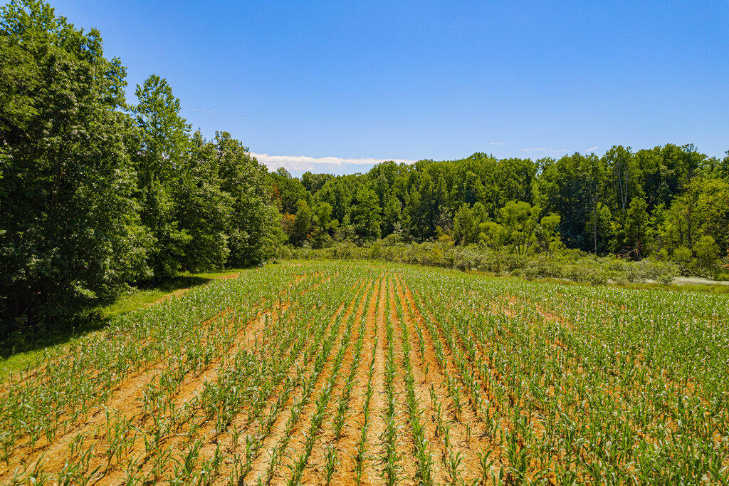 1936 E Clear Lake Road Buchanan MI 49107