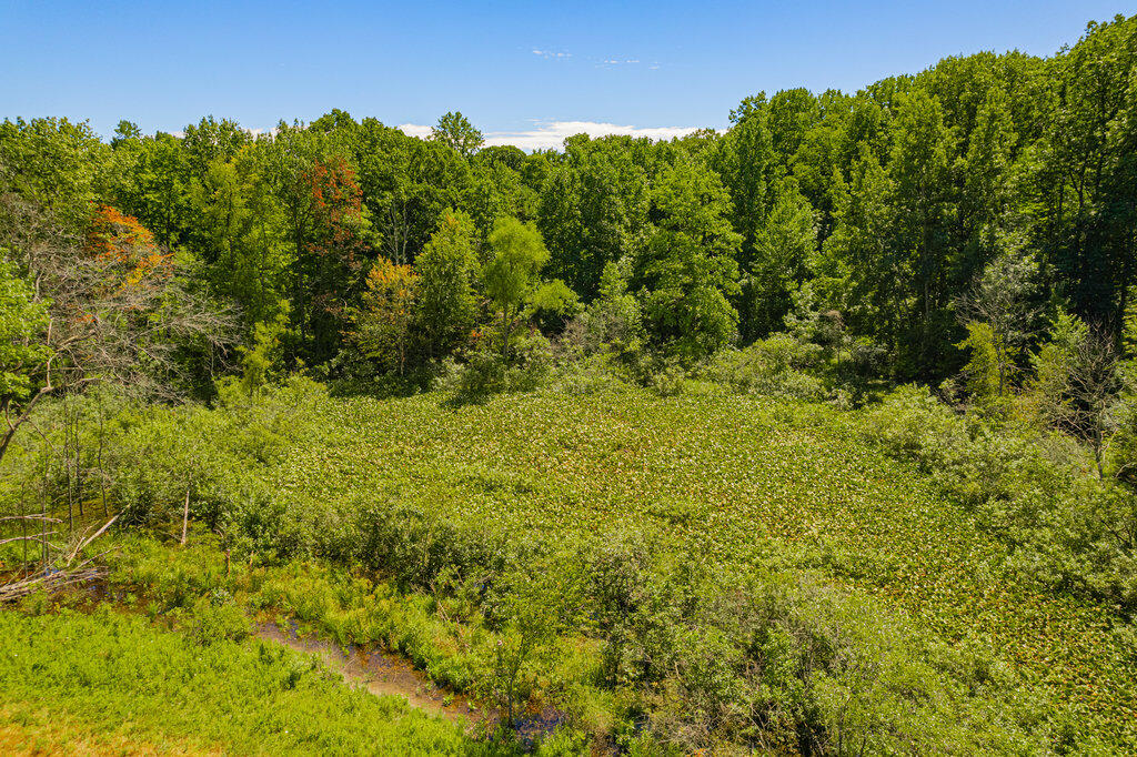 1936 E Clear Lake Road Buchanan MI 49107