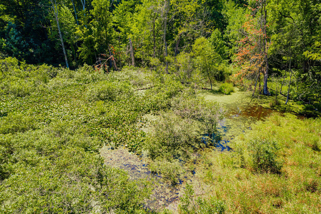 1936 E Clear Lake Road Buchanan MI 49107