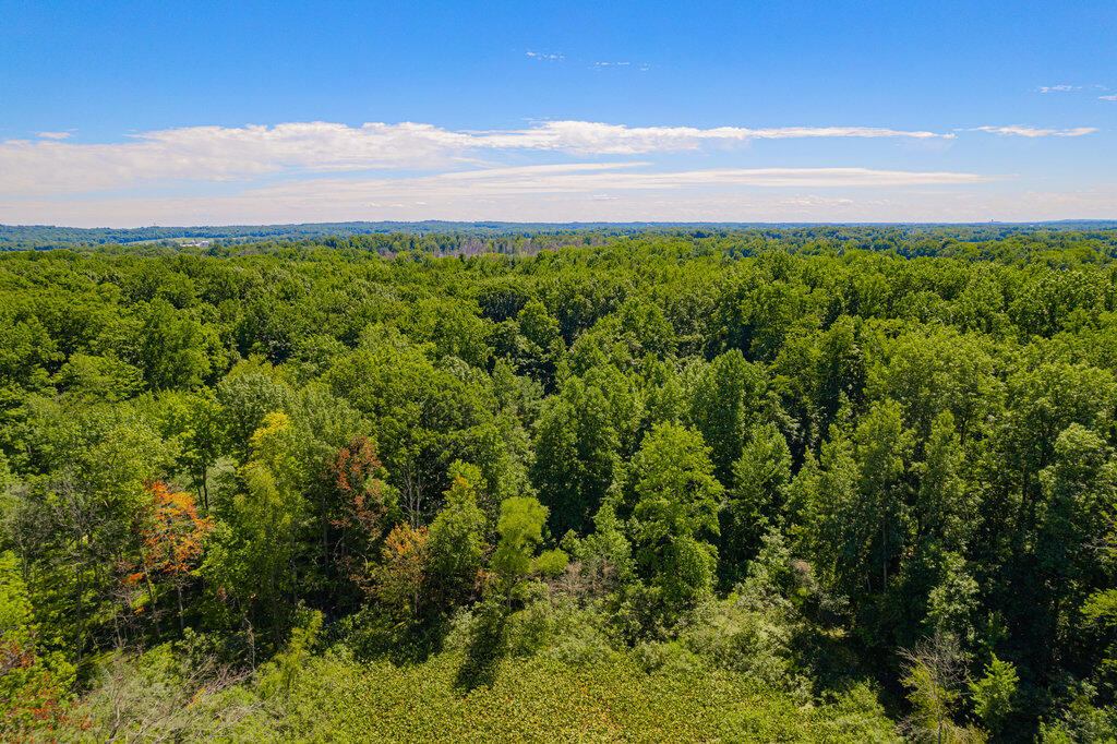1936 E Clear Lake Road Buchanan MI 49107