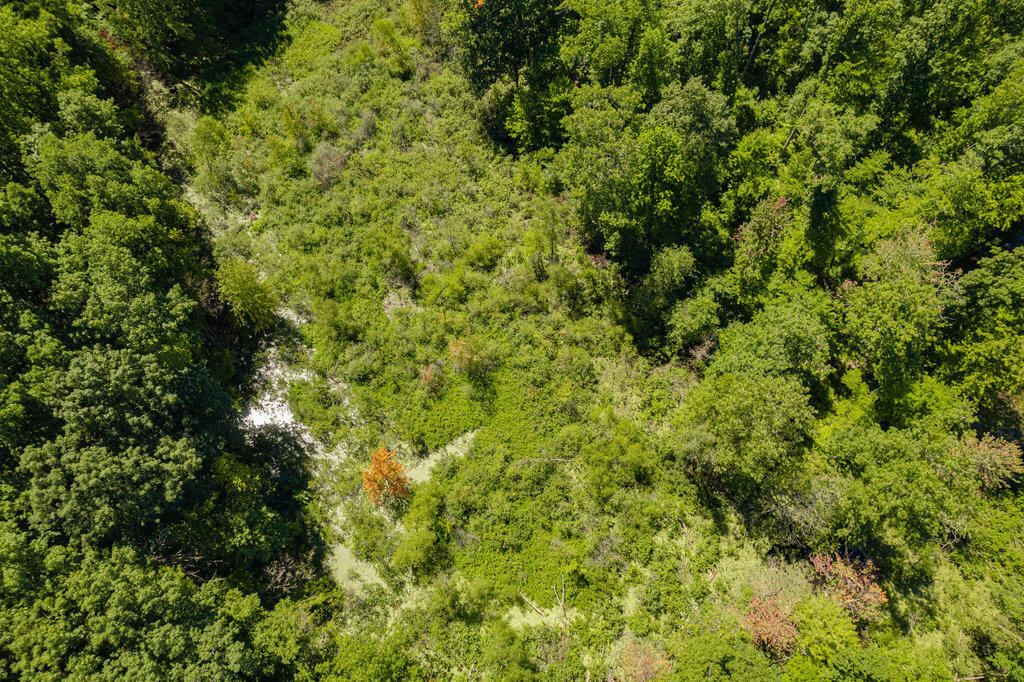 1936 E Clear Lake Road Buchanan MI 49107