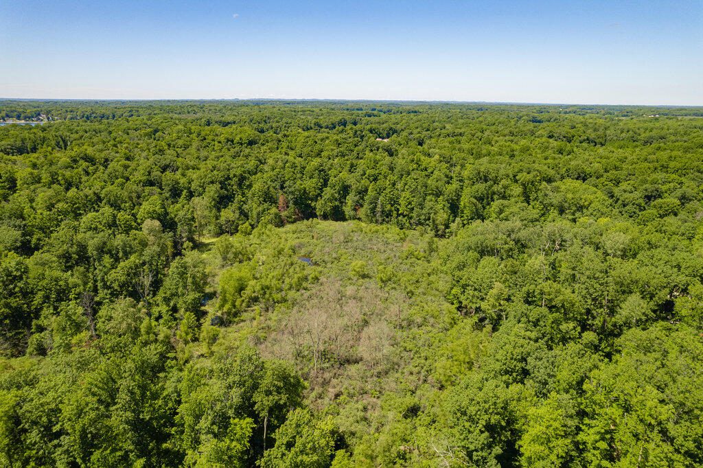 1936 E Clear Lake Road Buchanan MI 49107