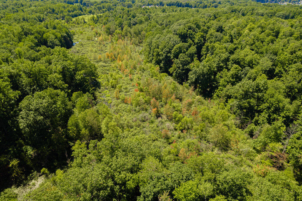 1936 E Clear Lake Road Buchanan MI 49107