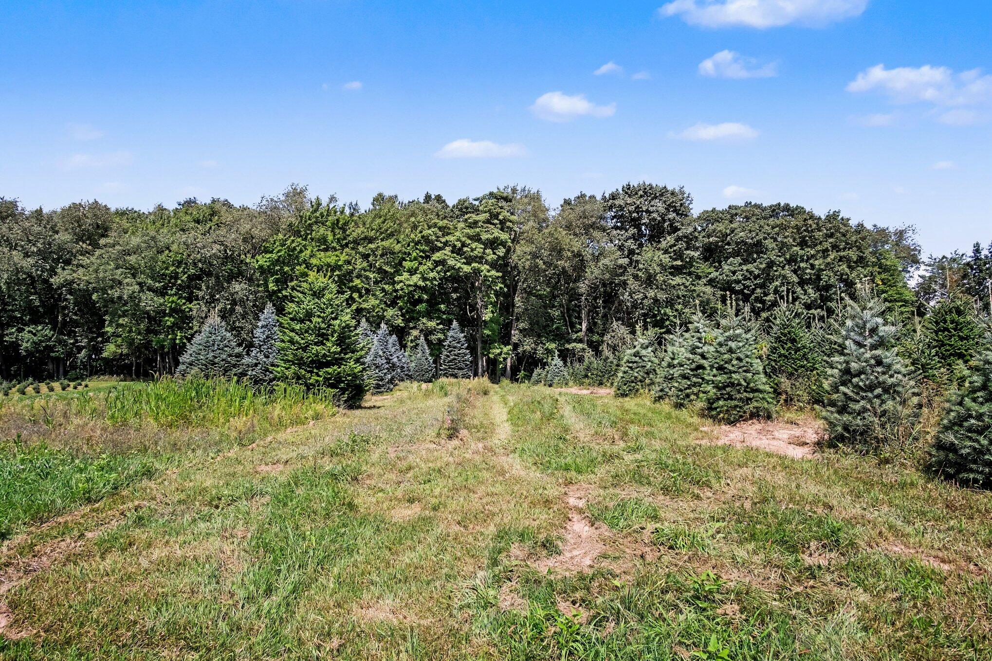 8089 Squires Street NE Rockford MI 49341