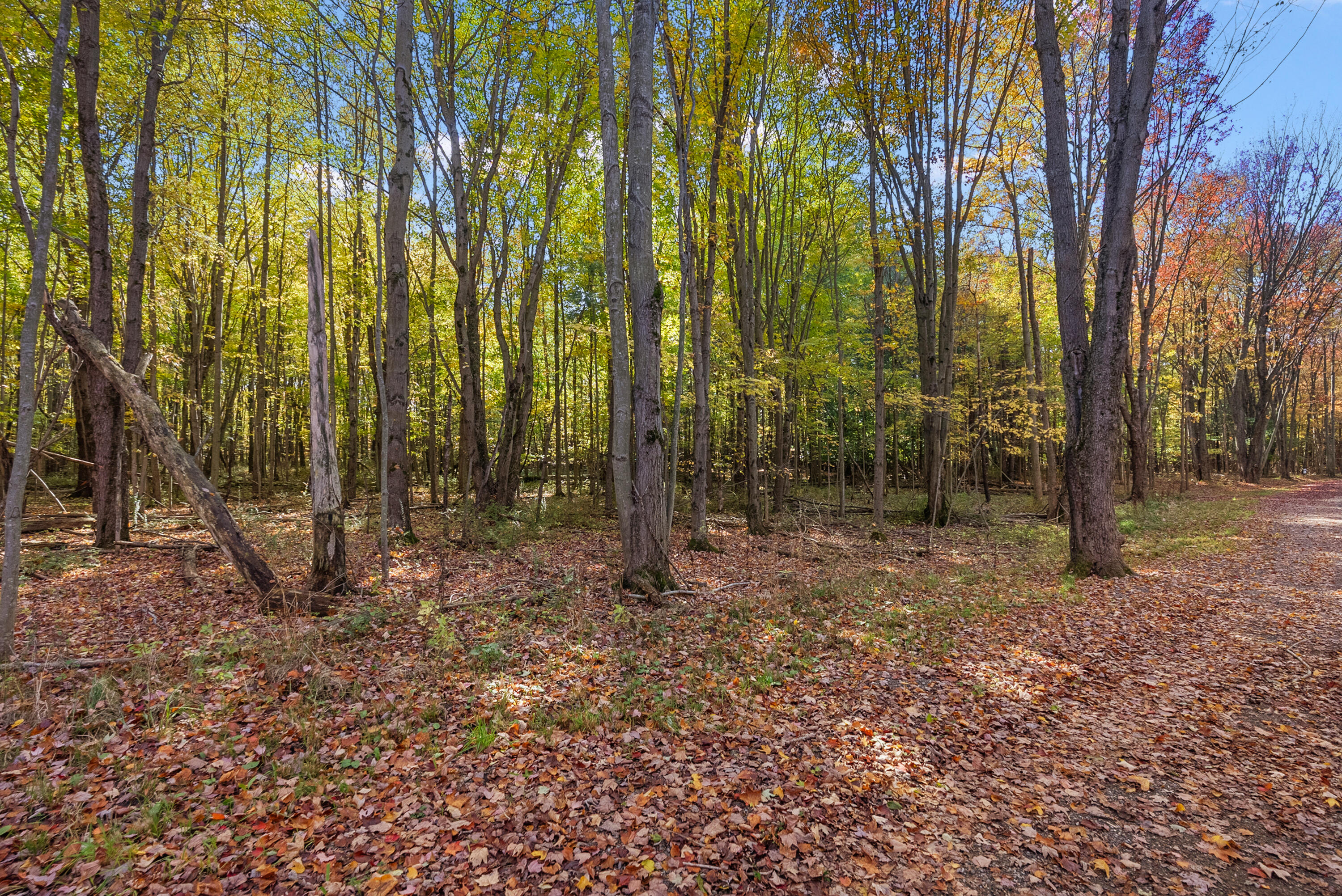 Lot 4 Christopher Court South Haven MI 49090