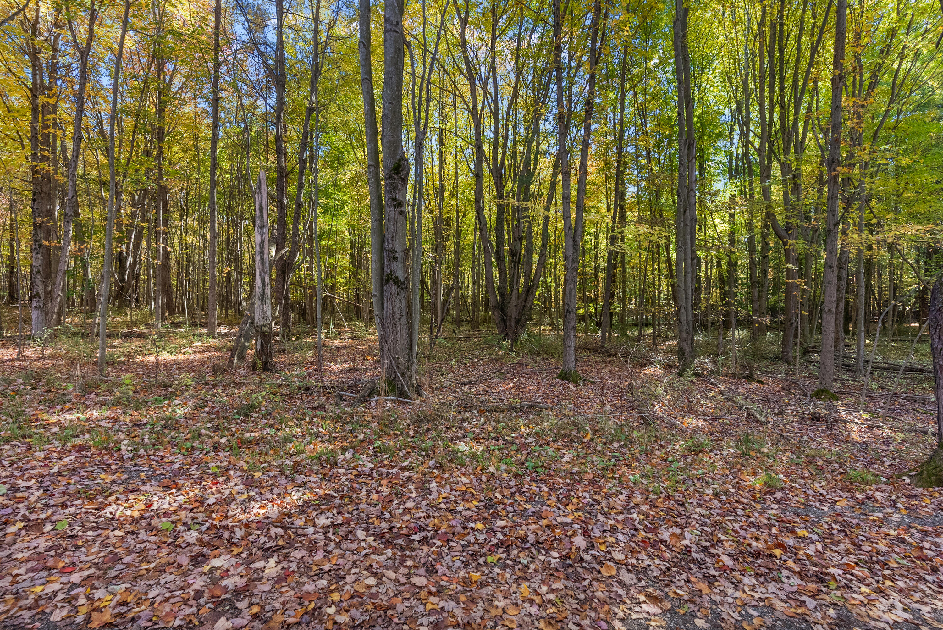 Lot 4 Christopher Court South Haven MI 49090