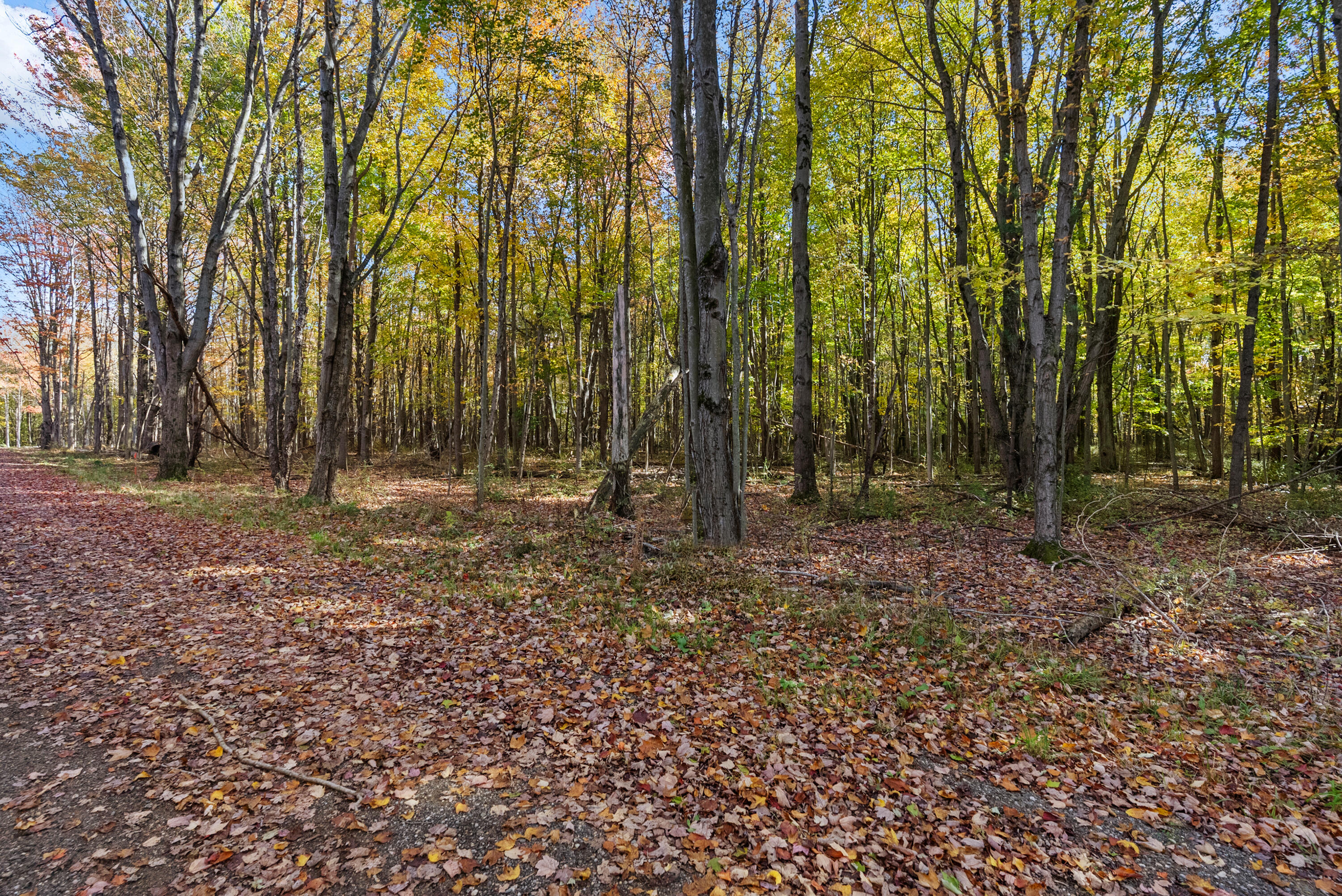 Lot 4 Christopher Court South Haven MI 49090