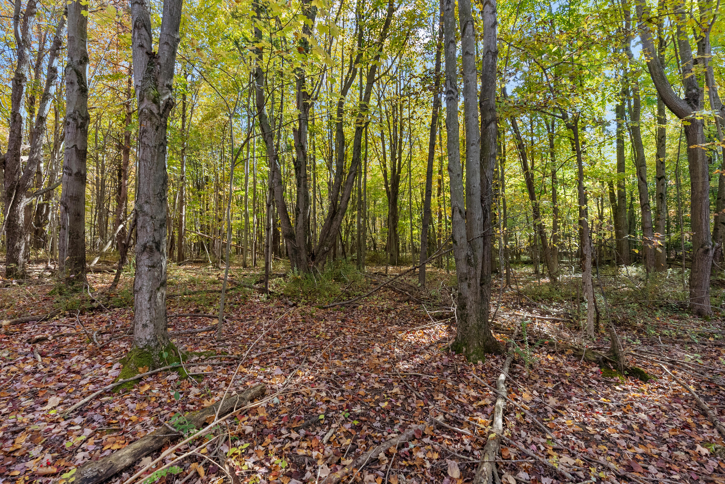 Lot 4 Christopher Court South Haven MI 49090